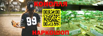 PSILOCYBIN Чебоксары