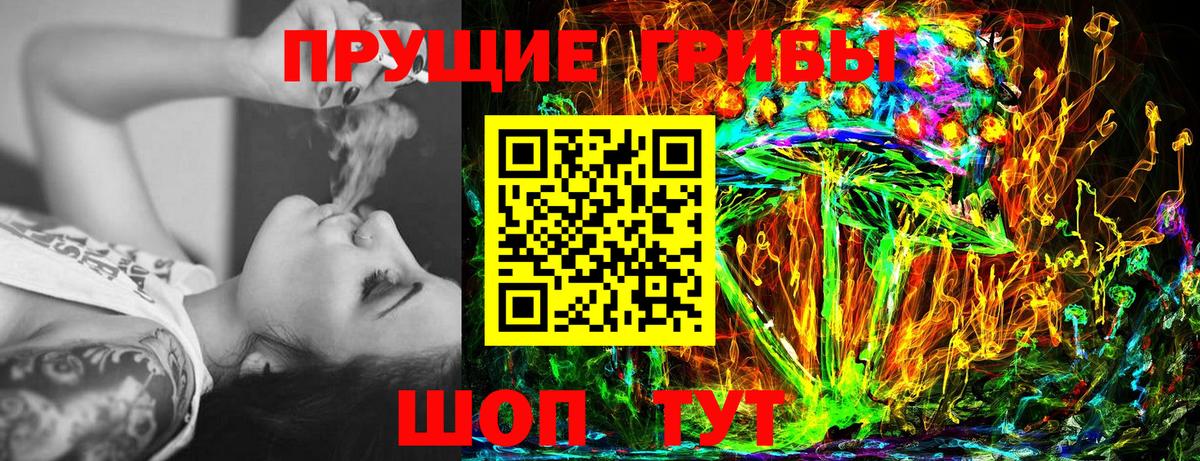 хочу   Псилоцибиновые грибы Psilocybe  Архангельск  Вход с VPN  Псилоцибиновые грибы Psilocybine cubensis 